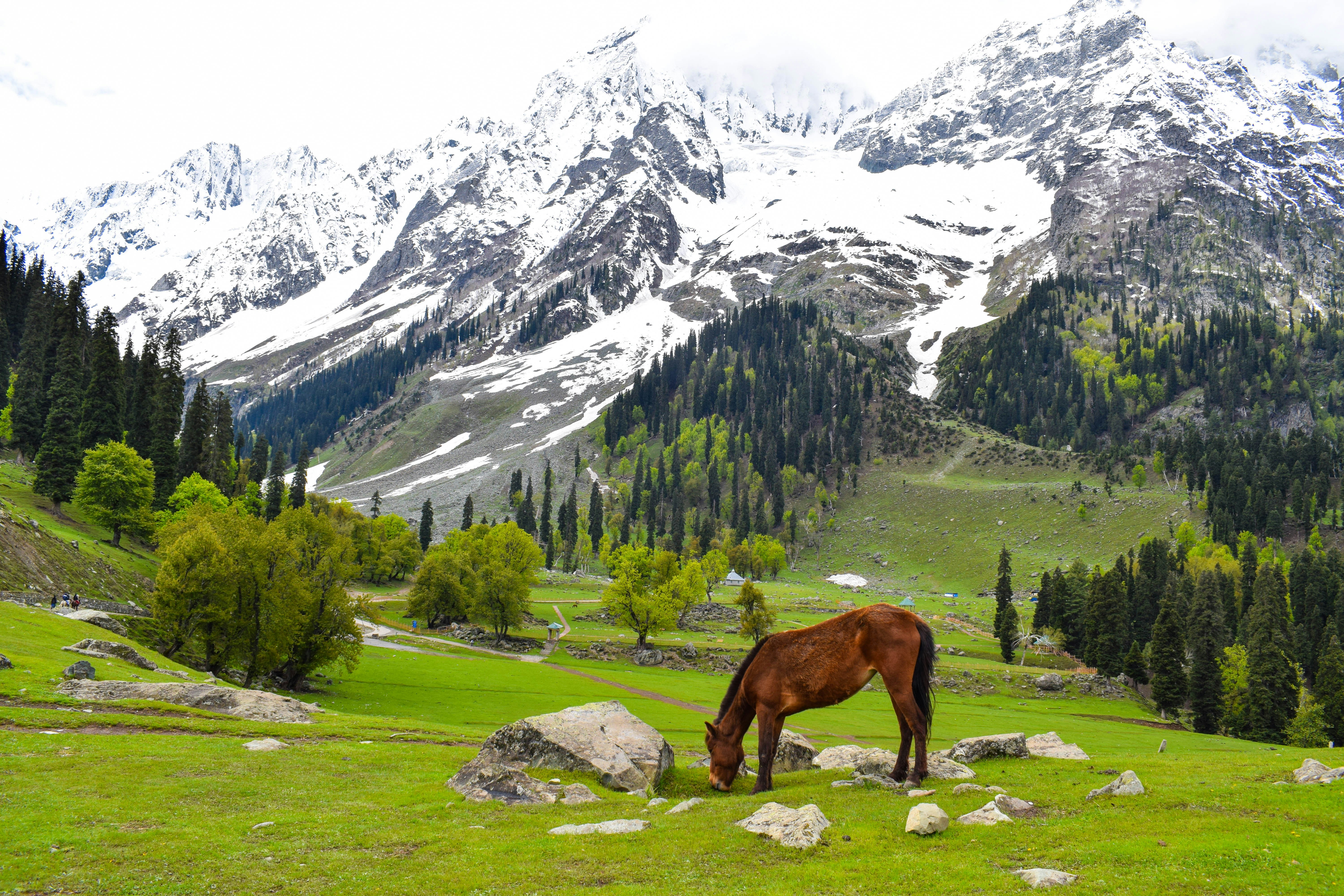 Scenic Kashmir travel destination