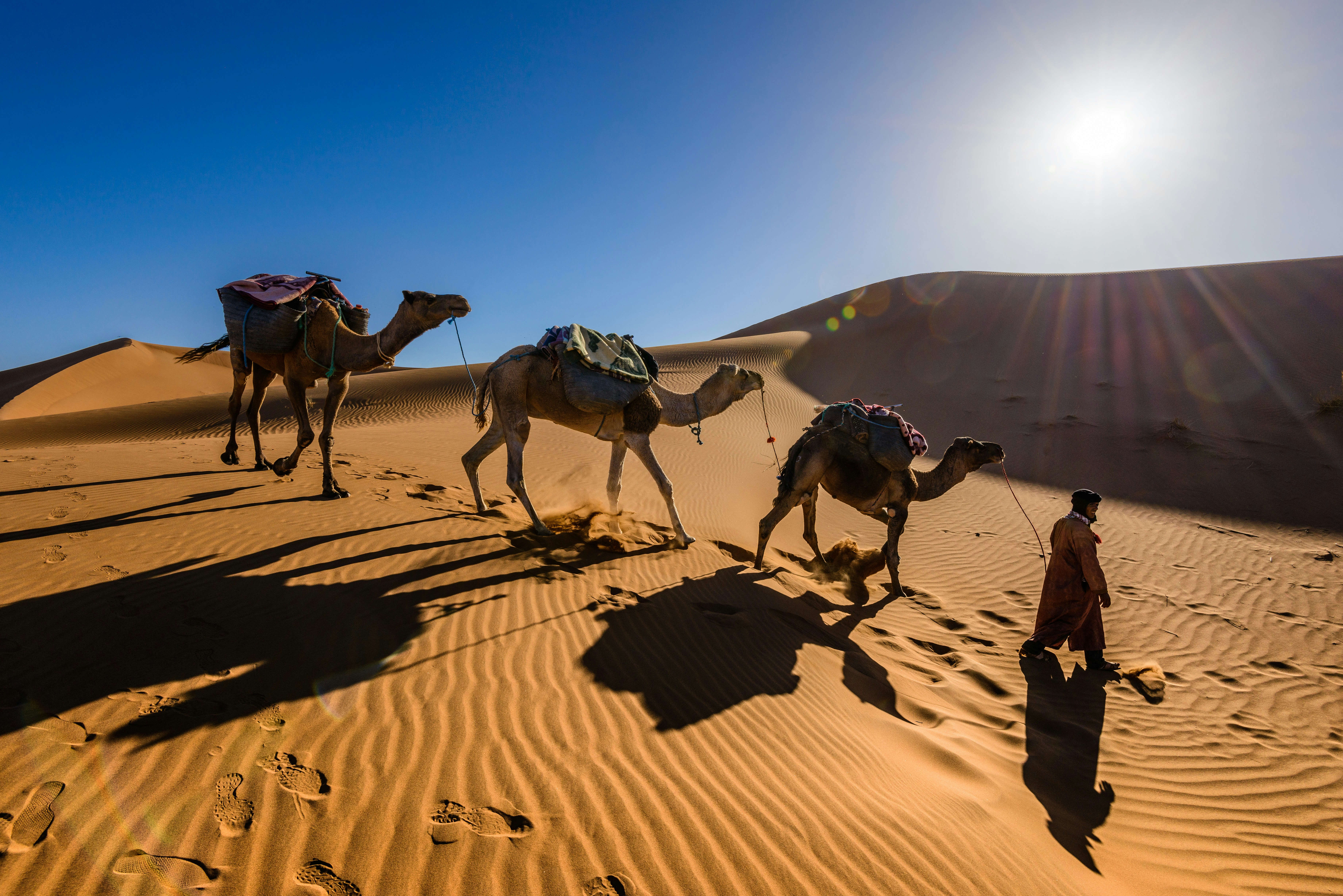 Rajasthan destination package