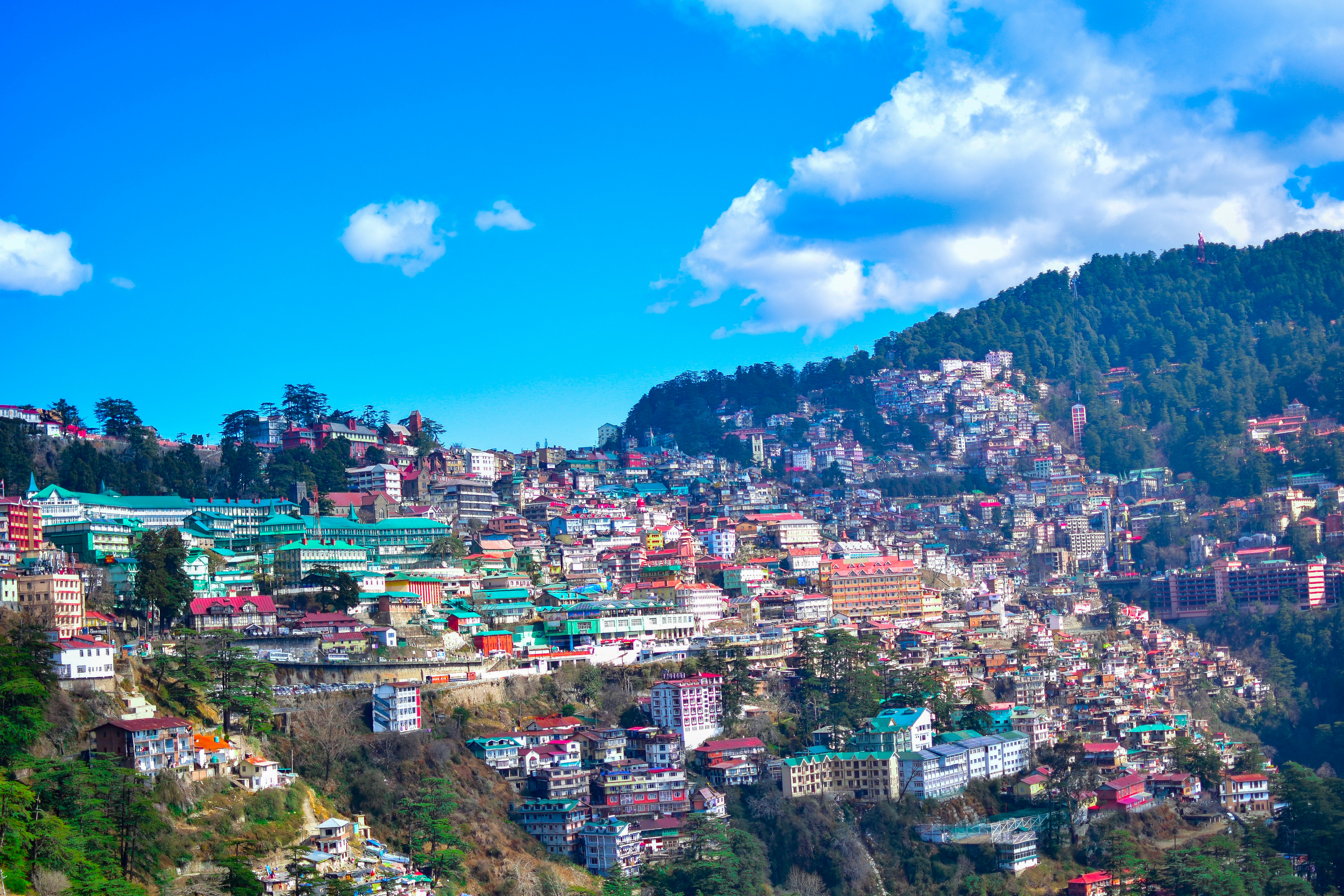 Shimla destination package